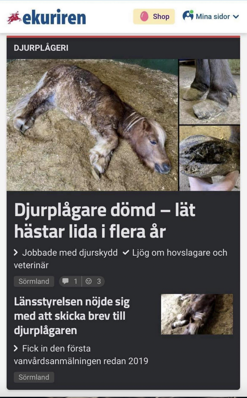 Ponny plågad fång djurplågeri